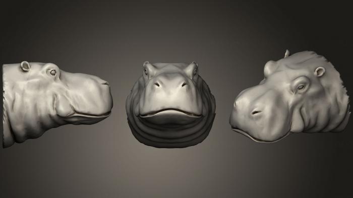 Masks and muzzles of animals (MSKJ_0204) 3D model for CNC machine