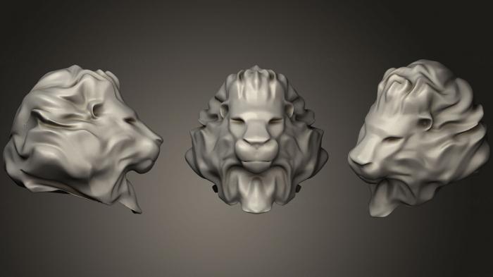 Masks and muzzles of animals (MSKJ_0216) 3D model for CNC machine
