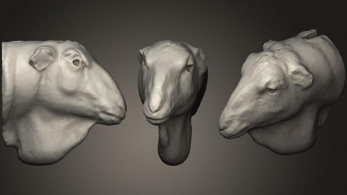 Masks and muzzles of animals (MSKJ_0245) 3D model for CNC machine
