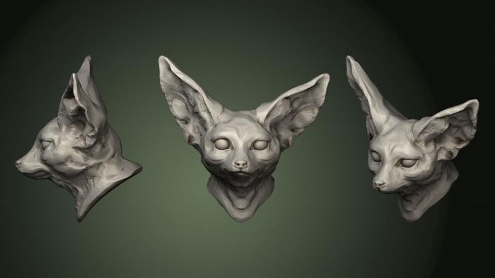 Masks and muzzles of animals (MSKJ_0288) 3D model for CNC machine