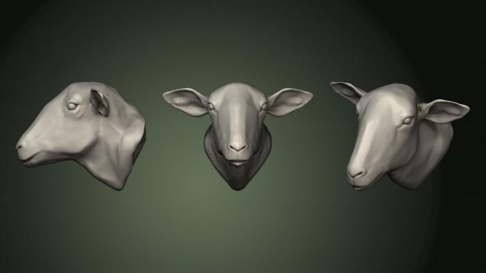 Masks and muzzles of animals (MSKJ_0295) 3D model for CNC machine