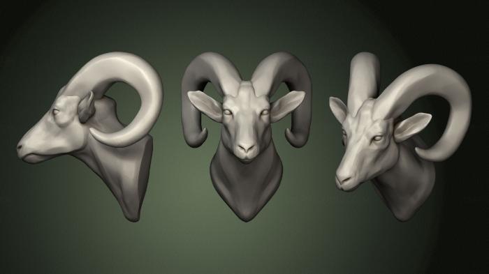 Masks and muzzles of animals (MSKJ_0305) 3D model for CNC machine