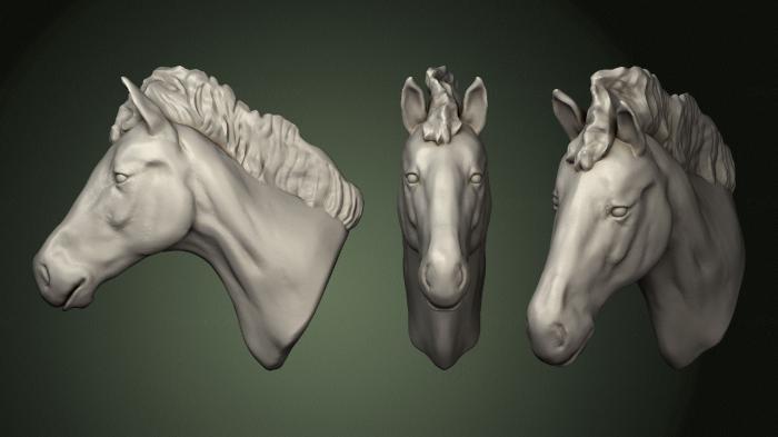 Masks and muzzles of animals (MSKJ_0306) 3D model for CNC machine