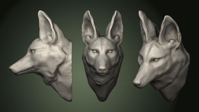 Masks and muzzles of animals (MSKJ_0326) 3D model for CNC machine