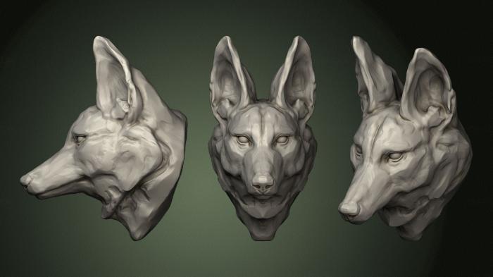 Masks and muzzles of animals (MSKJ_0328) 3D model for CNC machine