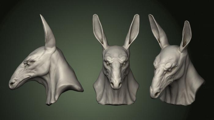 Masks and muzzles of animals (MSKJ_0361) 3D model for CNC machine