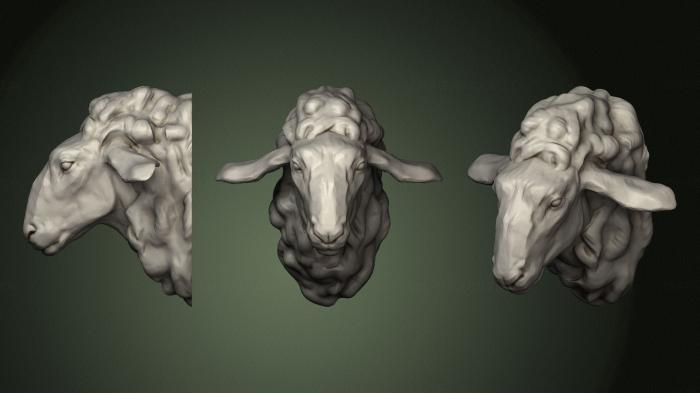 Masks and muzzles of animals (MSKJ_0365) 3D model for CNC machine
