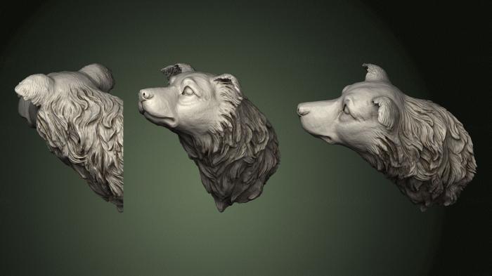 Masks and muzzles of animals (MSKJ_0395) 3D model for CNC machine