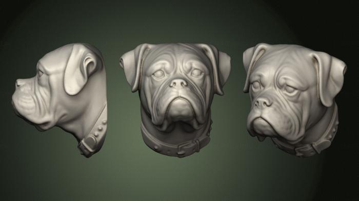 Masks and muzzles of animals (MSKJ_0396) 3D model for CNC machine
