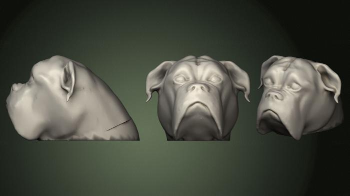 Masks and muzzles of animals (MSKJ_0397) 3D model for CNC machine