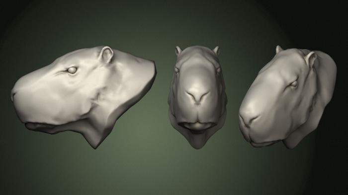 Masks and muzzles of animals (MSKJ_0405) 3D model for CNC machine