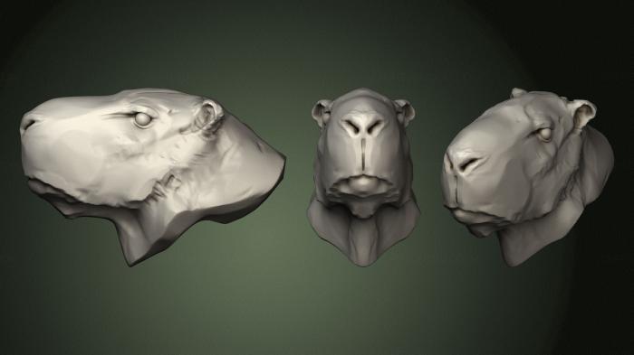 Masks and muzzles of animals (MSKJ_0406) 3D model for CNC machine