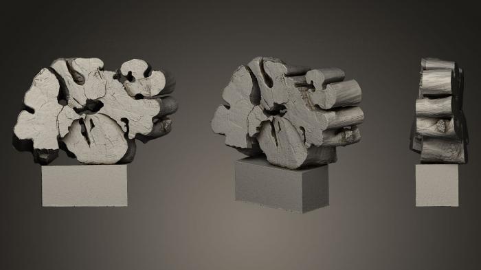 Stones and shells (ROCKS_0004) 3D model for CNC machine