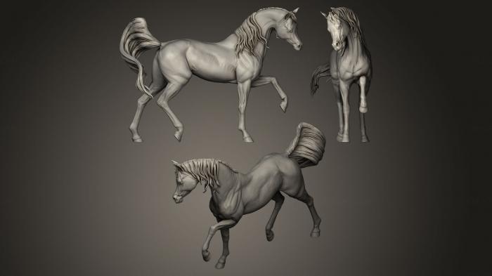 نموذج ثلاثي الأبعاد لآلة CNC التماثيل الحيوانية المشي ضفر الحصان النحت