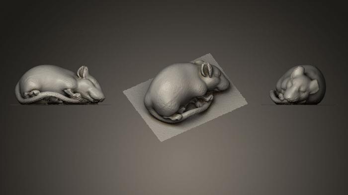 Animal figurines (STKJ_0373) 3D model for CNC machine